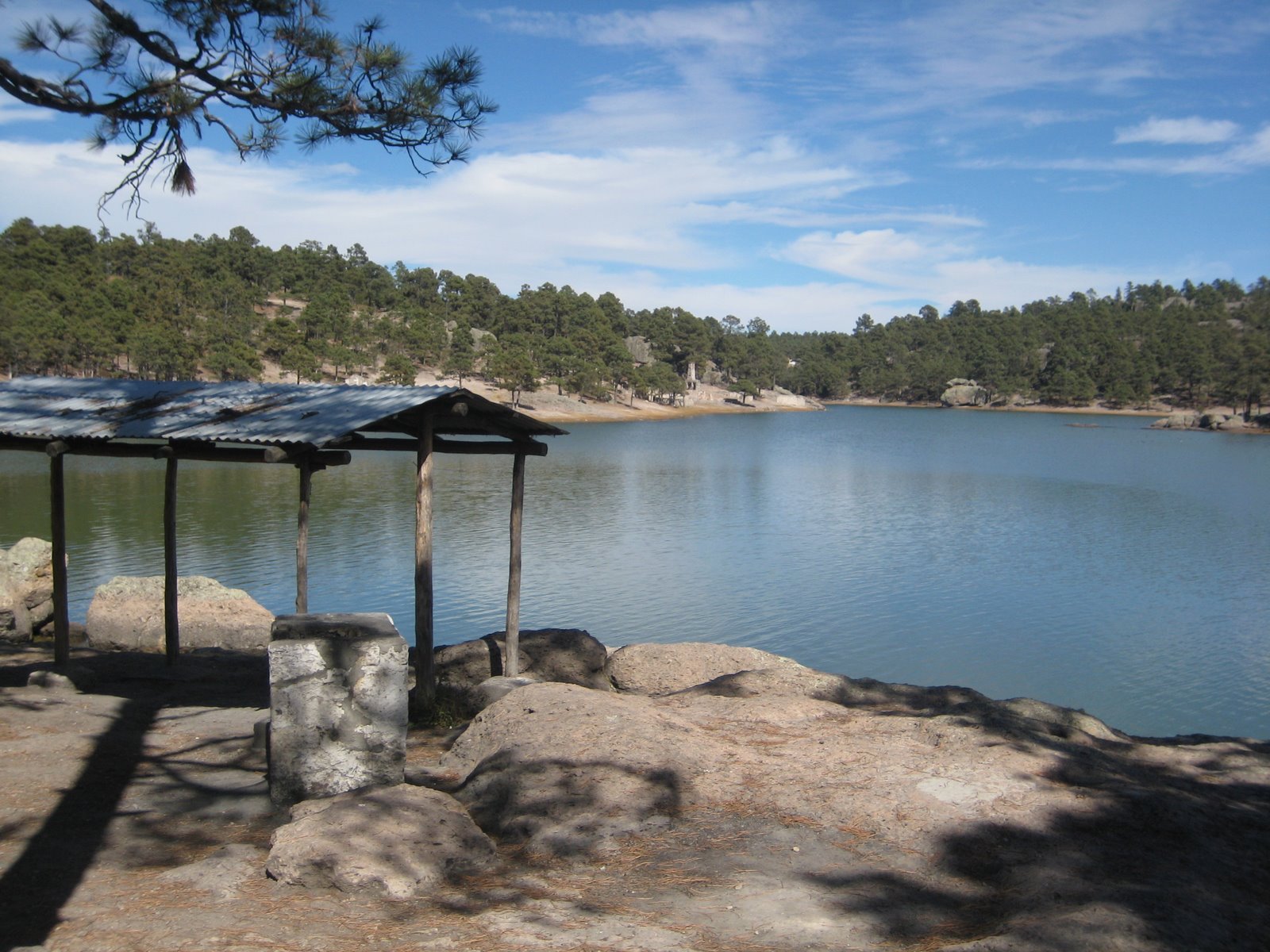 Illustration de l'annonce